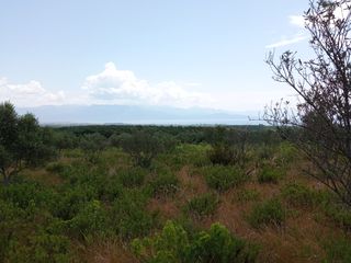 Αγροτεμάχια 14.000 τ.μ. για πώληση, Μεσσηνία, Πεταλίδι-thumb-24