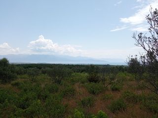 Αγροτεμάχια 14.000 τ.μ. για πώληση, Μεσσηνία, Πεταλίδι-thumb-25