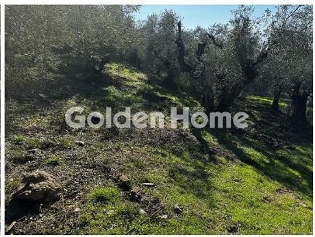 Parcel 1.015 sqm for sale