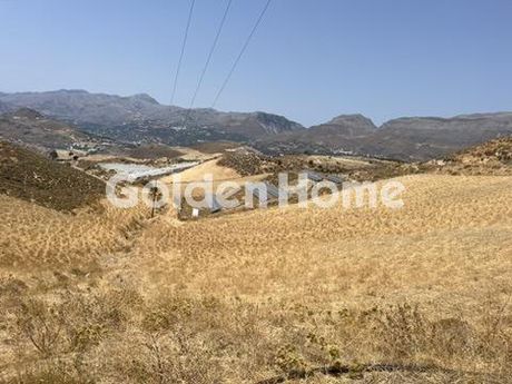 Οικόπεδο 17.000τ.μ. για πώληση-Φοινίκας » Λευκόγεια