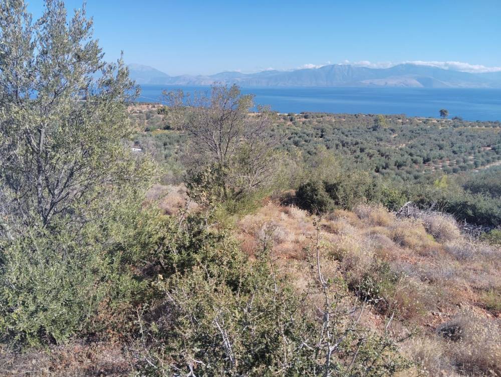 Αγροτεμάχια 8.800 τ.μ. πρός πώληση, Κορινθία, Ξυλόκαστρο