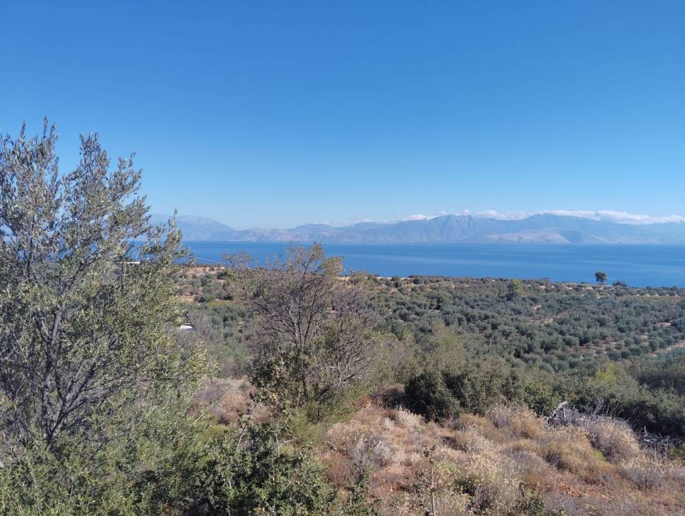 Αγροτεμάχια 8.800 τ.μ. πρός πώληση, Κορινθία, Ξυλόκαστρο