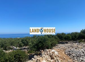 Αγροτεμάχια 4.115 τ.μ. για πώληση
