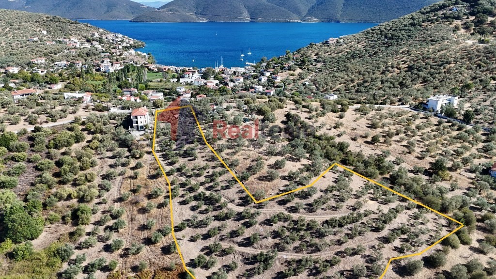 Αγροτεμάχια 10.000 τ.μ. προς πώληση, Πηγάδι Πτελεού