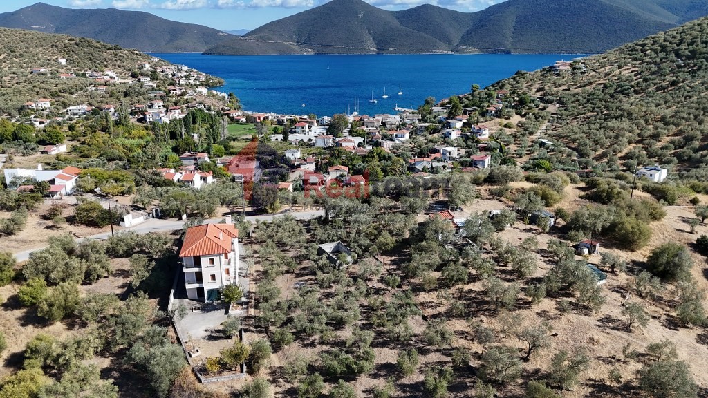 Αγροτεμάχια 10.000 τ.μ. προς πώληση, Πηγάδι Πτελεού