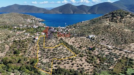 Αγροτεμάχια 10.000τ.μ. για πώληση-Πτελεός