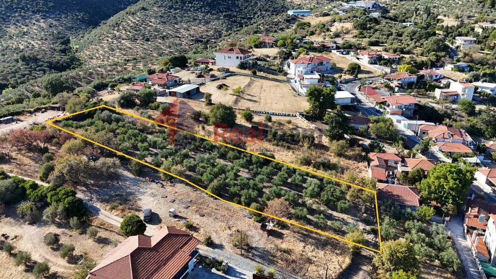 Οικόπεδο 2.231 τ.μ. προς πώληση, Κέντρο Πτελεού