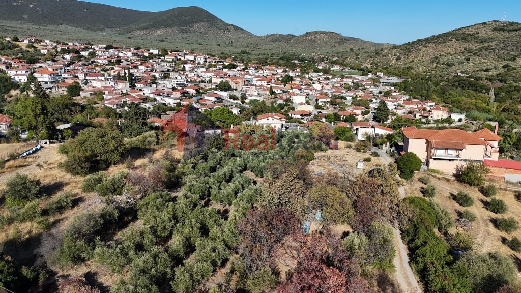 Οικόπεδο 2.231 τ.μ. προς πώληση, Κέντρο Πτελεού