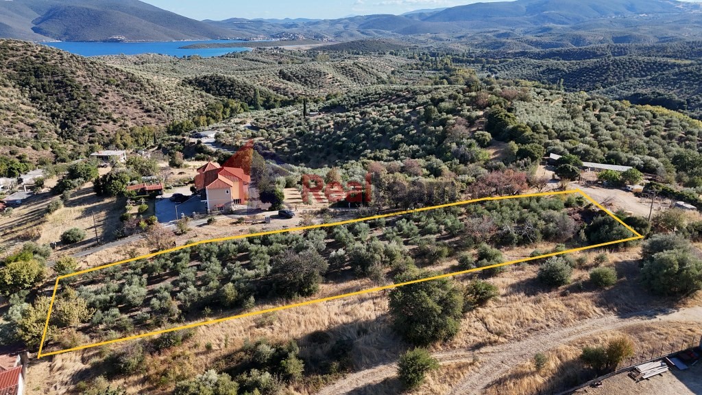 Οικόπεδο 2.231 τ.μ. προς πώληση, Κέντρο Πτελεού