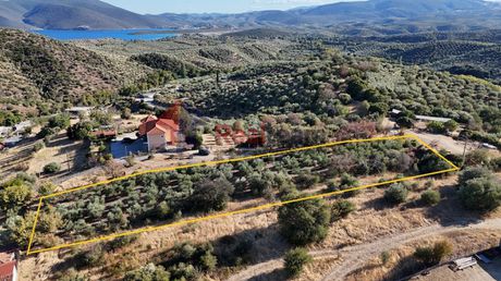 Οικόπεδο 2.231τ.μ. για πώληση-Πτελεός