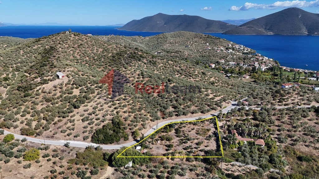 Αγροτεμάχια 5.378 τ.μ. προς πώληση, Πηγάδι Πτελεού