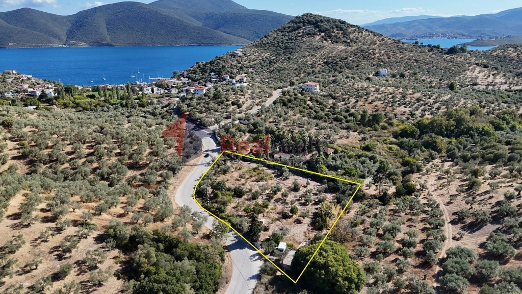 Αγροτεμάχια 5.378 τ.μ. προς πώληση, Πηγάδι Πτελεού