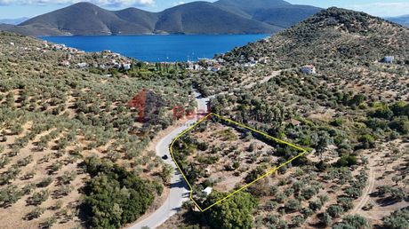 Αγροτεμάχια 5.378τ.μ. για πώληση-Πτελεός