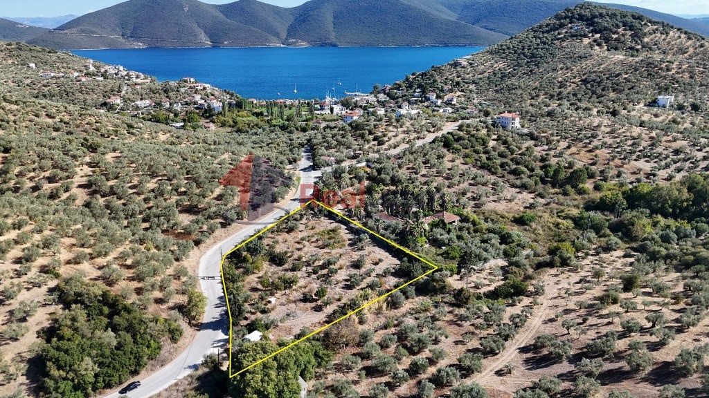 Αγροτεμάχια 5.378 τ.μ. προς πώληση, Πηγάδι Πτελεού
