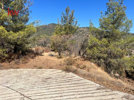 Αγροτεμάχια 2.600τ.μ. για πώληση-