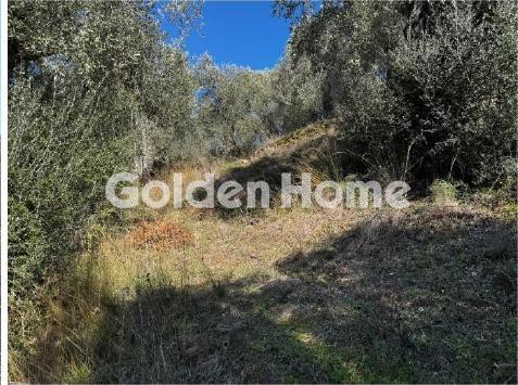 Αγροτεμάχια 647 τ.μ. προς πώληση, Μαγνησία, Αφέτες
