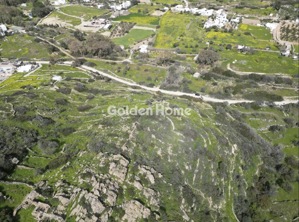 Αγροτεμάχια 19.600 τ.μ. προς πώληση, Μυλοπότας