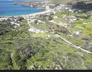 Αγροτεμάχια 19.600 τ.μ. για πώληση