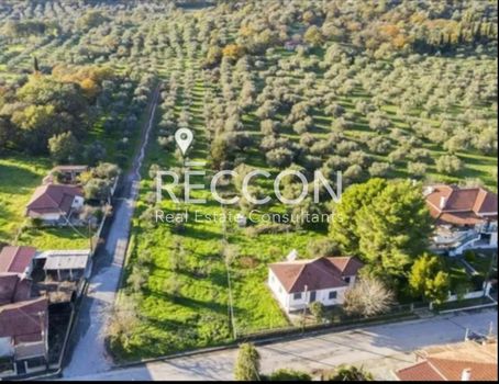 Οικόπεδο 3.000τ.μ. για πώληση-Δώριο » Αμφιθέα