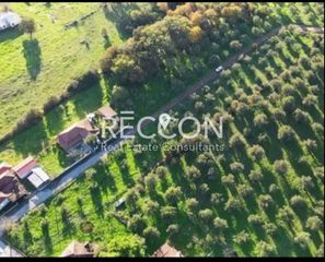 Οικόπεδο 3.000 τ.μ. για πώληση, Μεσσηνία, Δώριο-thumb-1