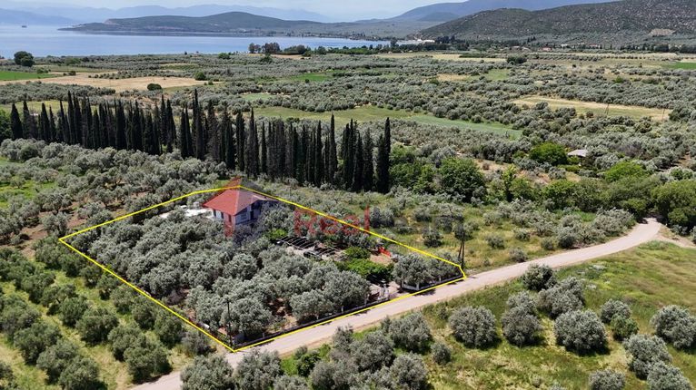 Detached home 241 sqm for sale, Phthiotis, Pelasgia