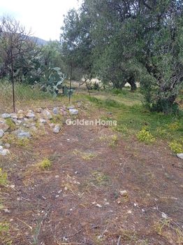 Αγροτεμάχια 711 τ.μ. για πώληση