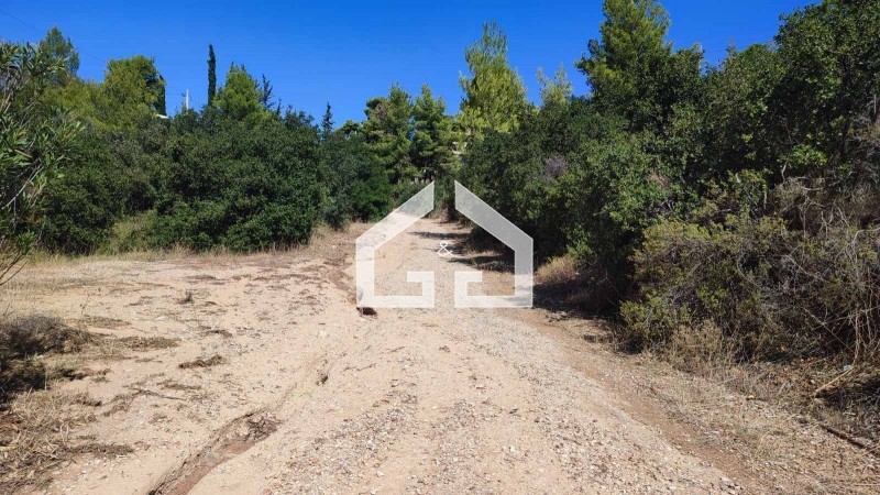 Οικόπεδο 302 τ.μ. πρός πώληση, Αθήνα - Ανατολικά Προάστια, Ανθούσα