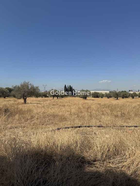 Οικόπεδο 18.000 τ.μ. προς ενοικίαση, Αττική - Υπόλοιπο, Ασπρόπυργος