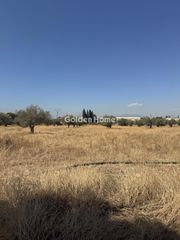 Οικόπεδο 18.000 τ.μ. για ενοικίαση