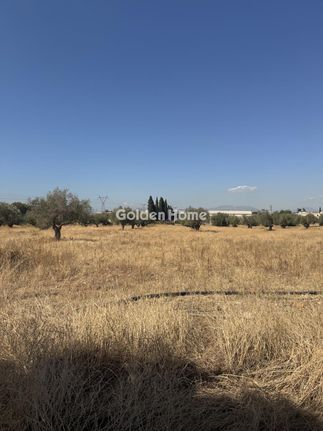 Land plot 18.000 sqm for rent, Rest Of Attica, Aspropirgos