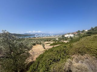 Οικόπεδο 4.200 τ.μ. για πώληση
