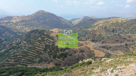 Αγροτεμάχια 43.000 τ.μ. προς πώληση