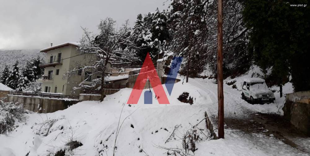 Ακίνητο 290 τ.μ. πρός πώληση, Αιτωλοακαρνανία, Χάλκεια