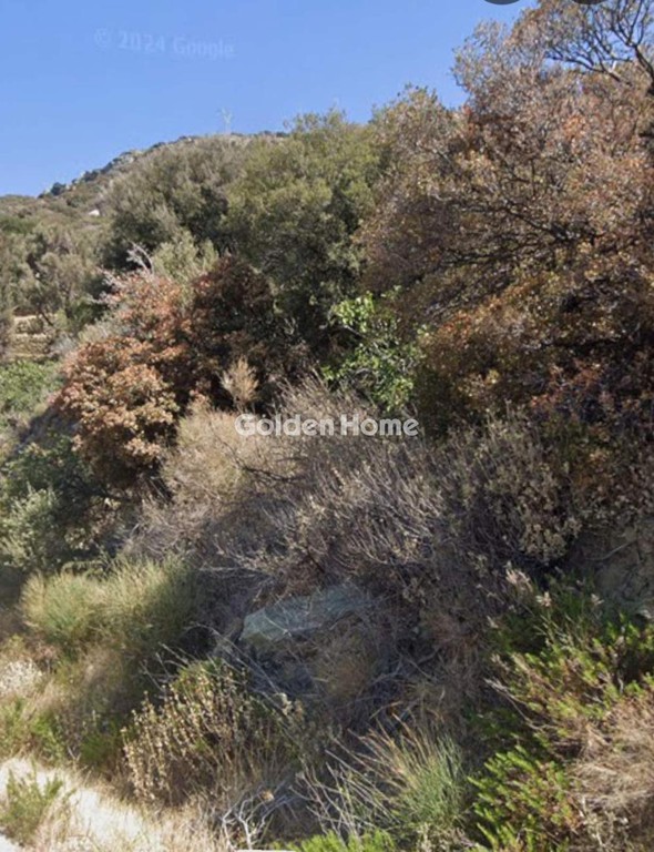 Οικόπεδο 8.500 τ.μ. προς πώληση, Χώρα Άνδρου