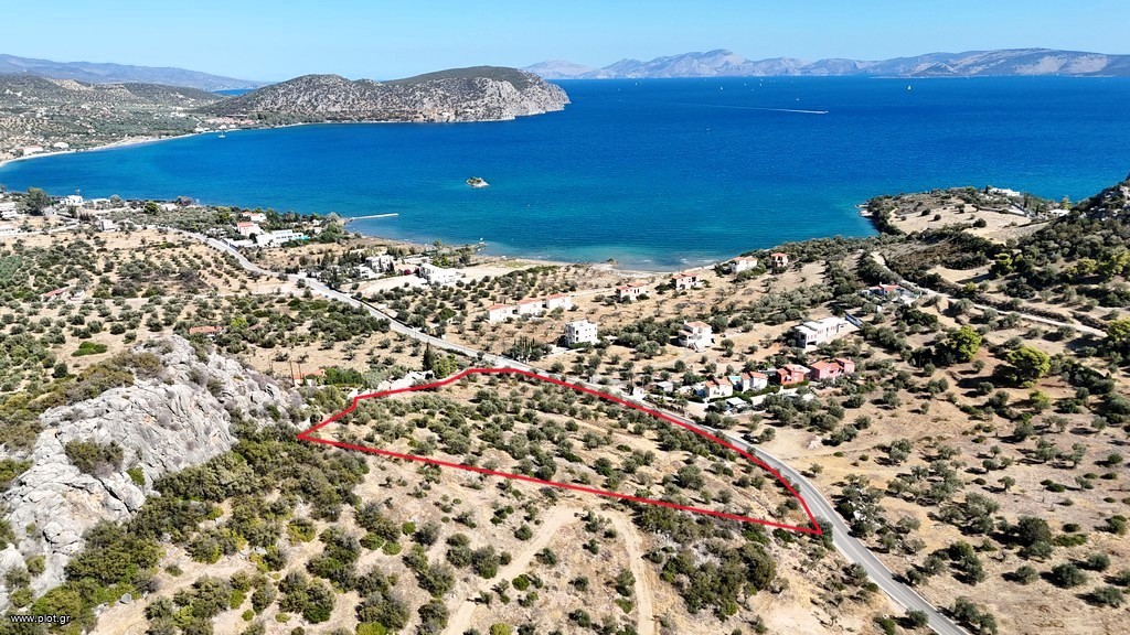 Αγροτεμάχια 15.030 τ.μ. πρός πώληση, Αργολίδα, Ερμιόνη