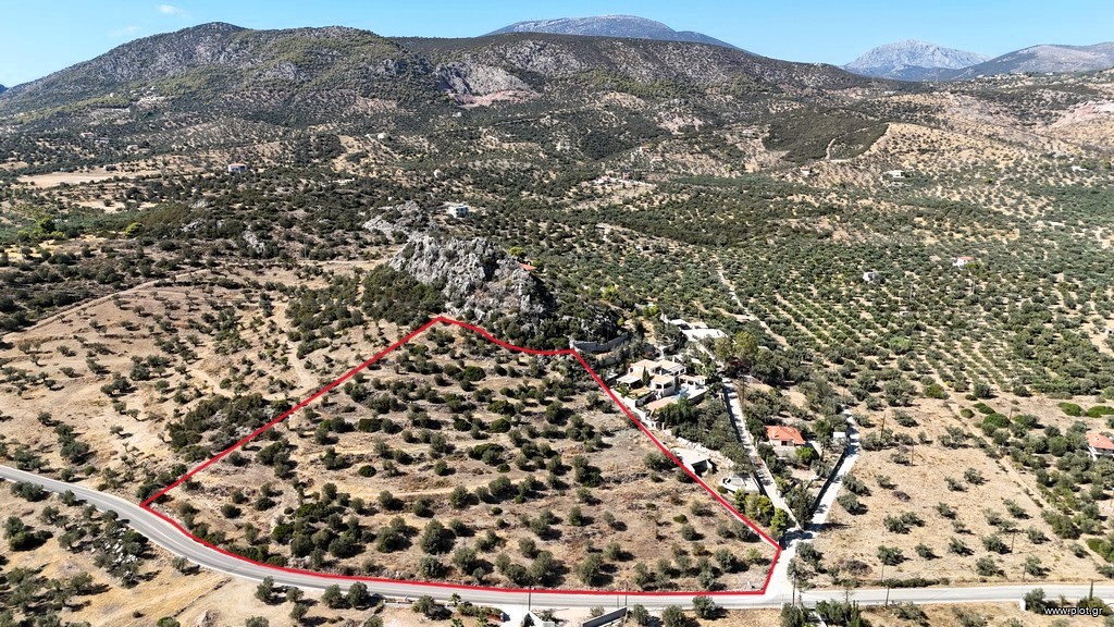 Αγροτεμάχια 15.030 τ.μ. πρός πώληση, Αργολίδα, Ερμιόνη