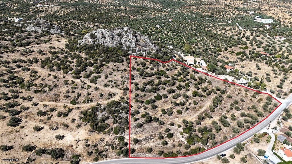 Αγροτεμάχια 15.030 τ.μ. πρός πώληση, Αργολίδα, Ερμιόνη