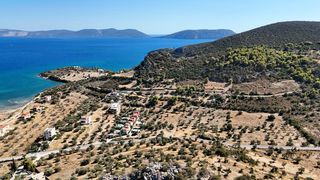 Αγροτεμάχια 15.030 τ.μ. πρός πώληση, Αργολίδα, Ερμιόνη-thumb-9