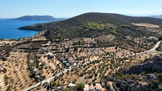 Αγροτεμάχια 15.030 τ.μ. πρός πώληση, Αργολίδα, Ερμιόνη-thumb-11