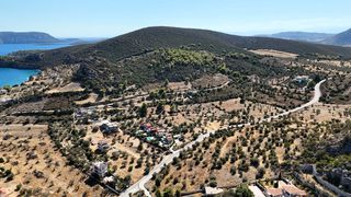 Αγροτεμάχια 15.030 τ.μ. πρός πώληση, Αργολίδα, Ερμιόνη-thumb-12
