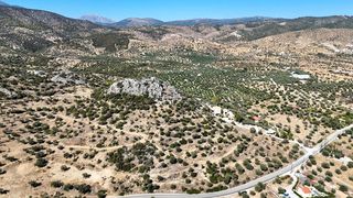Αγροτεμάχια 15.030 τ.μ. πρός πώληση, Αργολίδα, Ερμιόνη-thumb-15