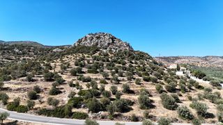 Αγροτεμάχια 15.030 τ.μ. πρός πώληση, Αργολίδα, Ερμιόνη-thumb-17
