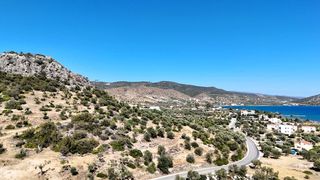 Αγροτεμάχια 15.030 τ.μ. πρός πώληση, Αργολίδα, Ερμιόνη-thumb-19