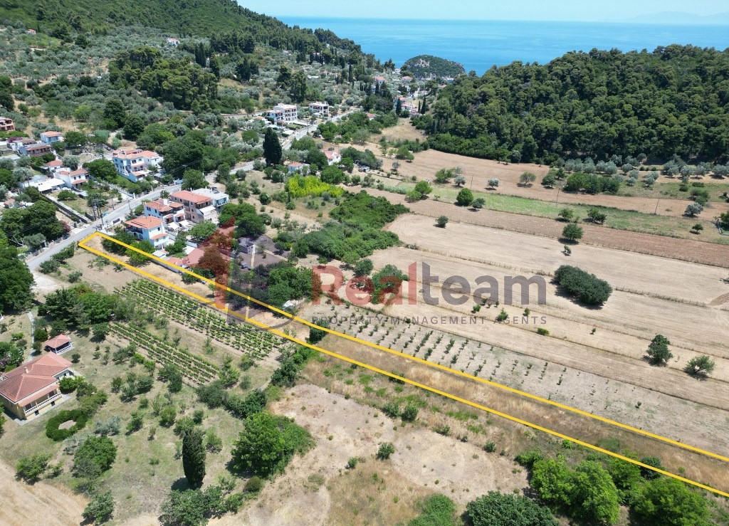 Αγροτεμάχια 2.154 τ.μ. πρός ενοικίαση, Σποράδες, Σκόπελος