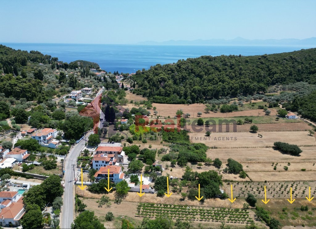 Αγροτεμάχια 2.154 τ.μ. πρός ενοικίαση, Σποράδες, Σκόπελος