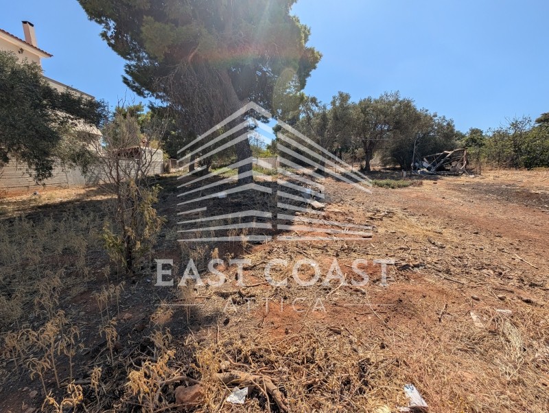 Οικόπεδο 365 τ.μ. πρός πώληση, Αθήνα - Ανατολικά Προάστια, Νέα Μάκρη