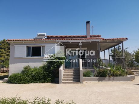 Μονοκατοικία 116τ.μ. για πώληση-Πύργος » Γρανιτσαίικα