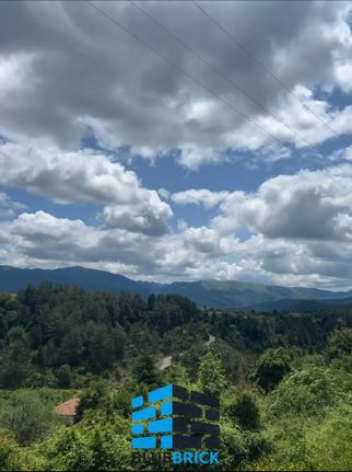 Οικόπεδο 1.800 τ.μ. για πώληση, Αρκαδία, Βιτίνα