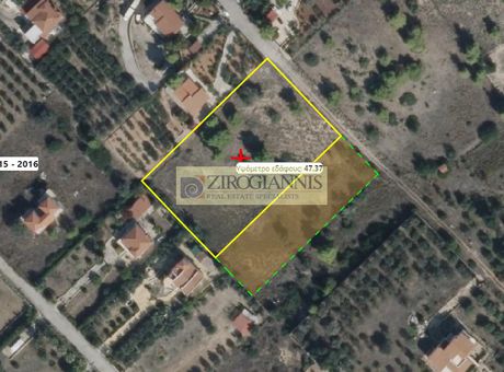 Οικόπεδο 6.000τ.μ. για πώληση-Κρανίδι