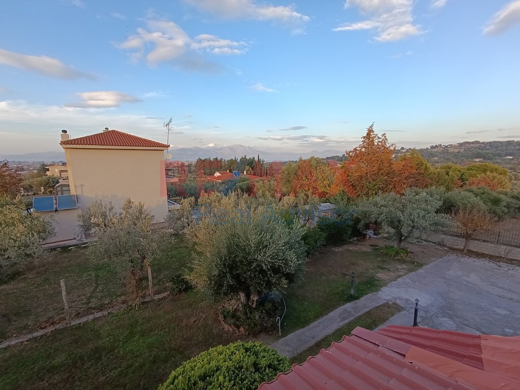 Συγκρότημα διαμερισμάτων 510 τ.μ. προς πώληση, Κέντρο Ωρωπού